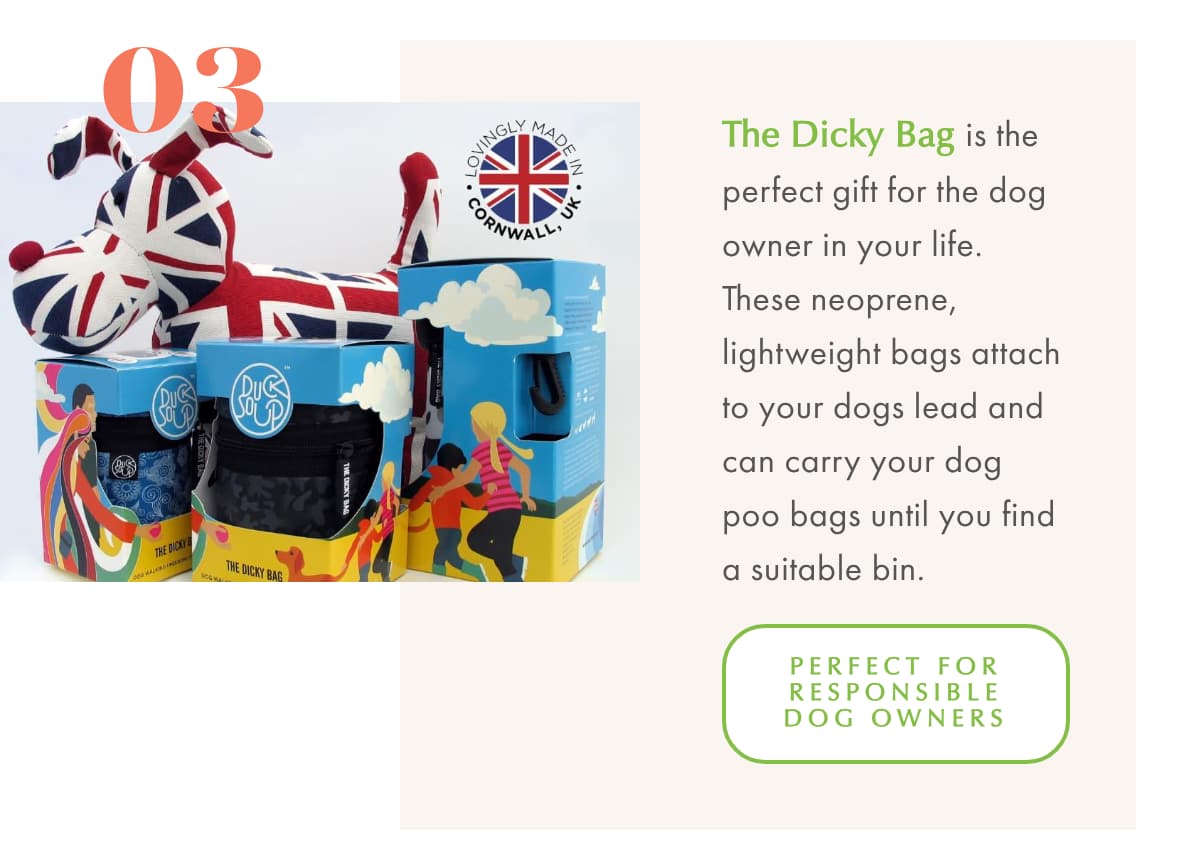 Christmas lights and night time strolls