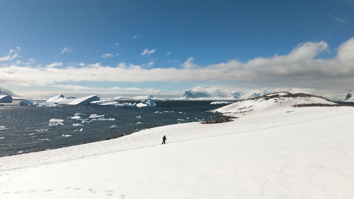 Episode 3 - Antarctica Slide 8