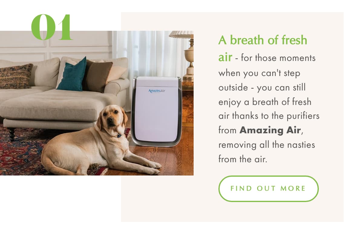 New Year Resolutions 1 New Year Resolutions and a walk by the sea