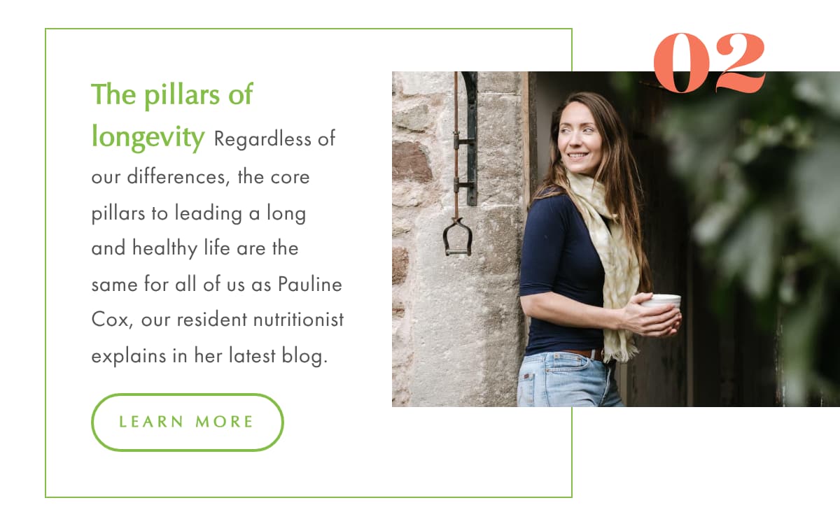 Walking with Romans Pic 02 The Pillars of Longevity