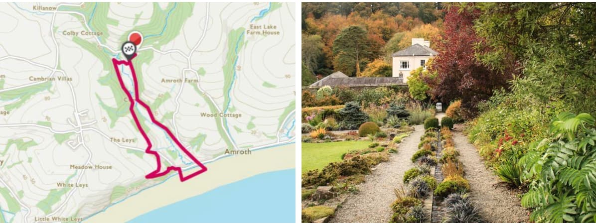 Julias spring starts here B National Trust Colby Woodland Walk