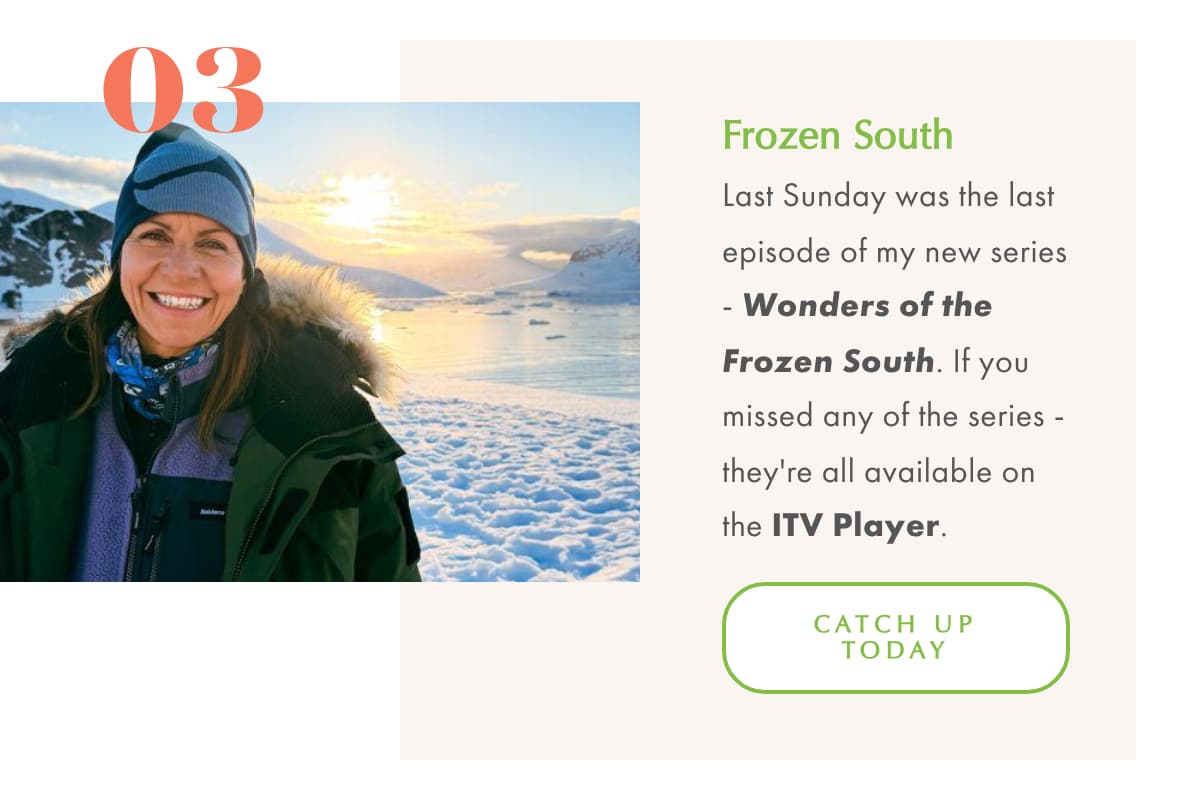 Wonders of the Frozen South