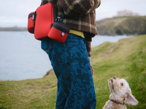 WIN the ultimate dog walking bundle