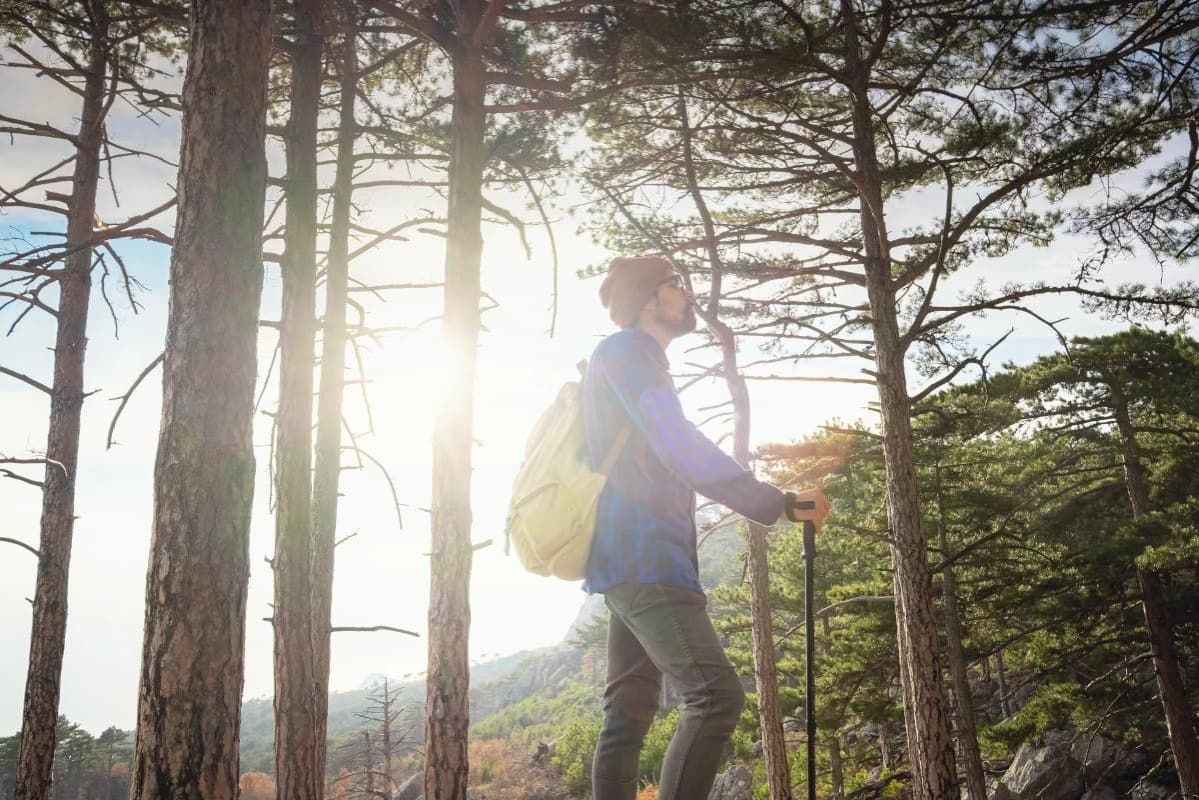Small Steps to Thrive and Find a Healthier You