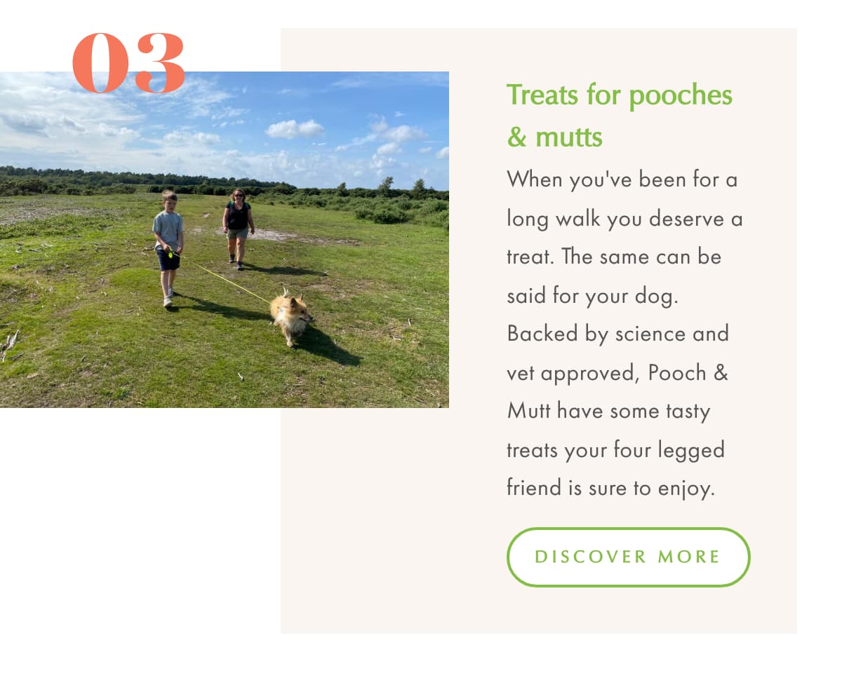 Sunshine 3 Pooch&Mutt