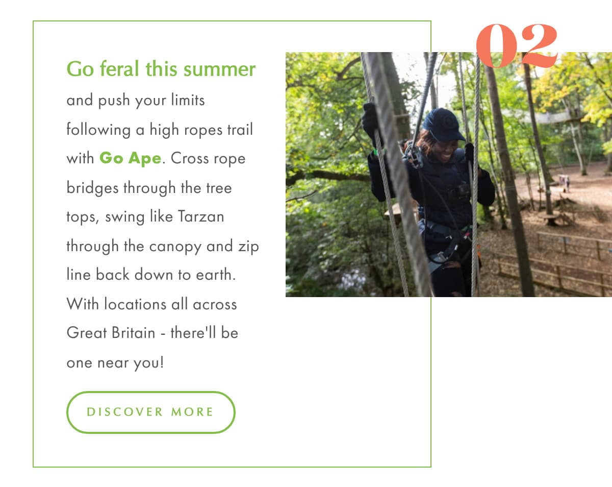 Here Comes the Sun 2 GoApe