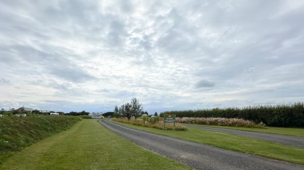 The Paddock