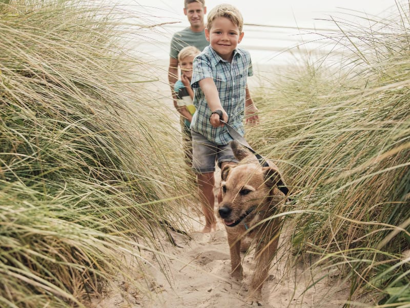 How to Plan a Coastal Weekend That Works for Walkers, Families and Dogs