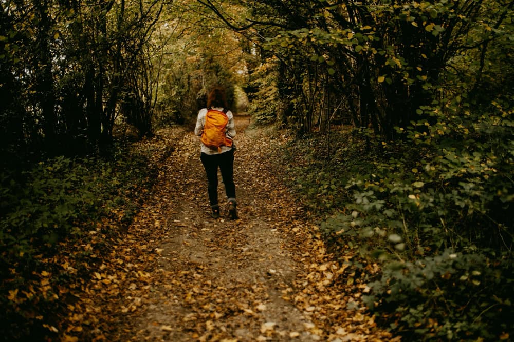 Autumn approaches A Autumn approaches