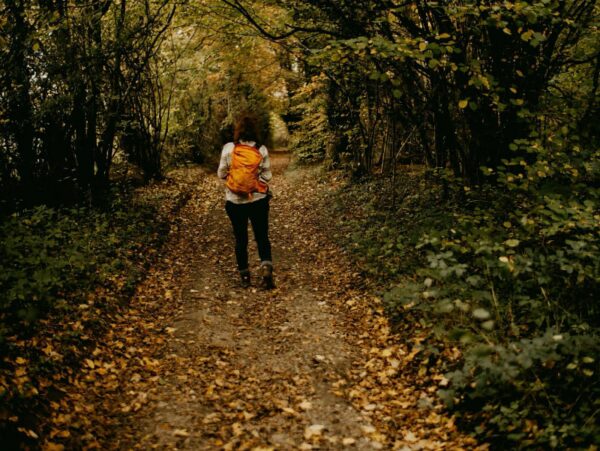 Autumn approaches