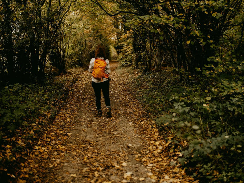 Autumn approaches