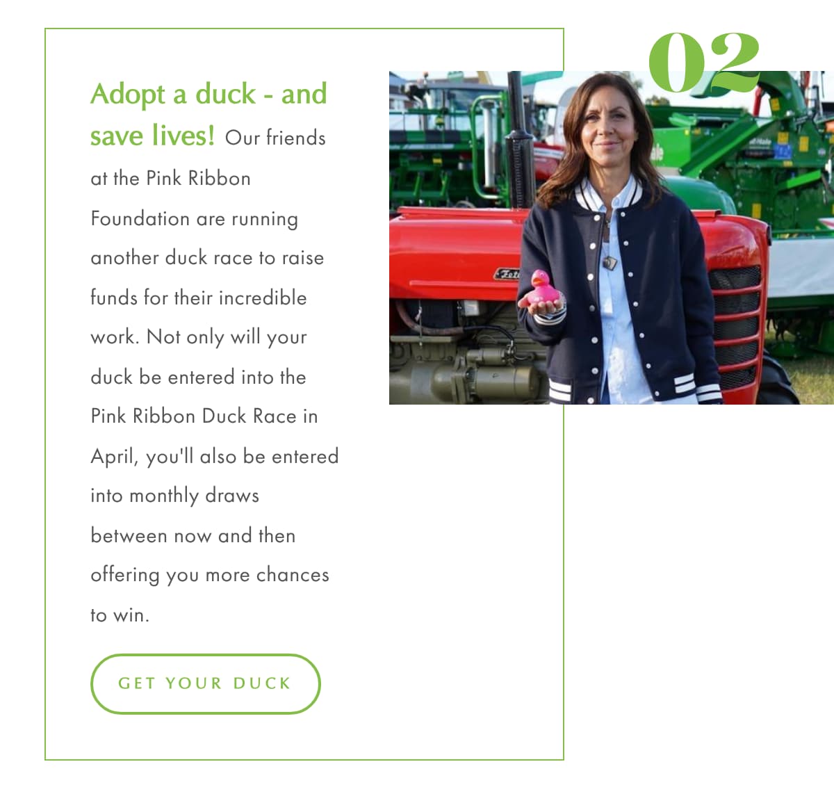 Rainy Days 2 Adopt a Duck