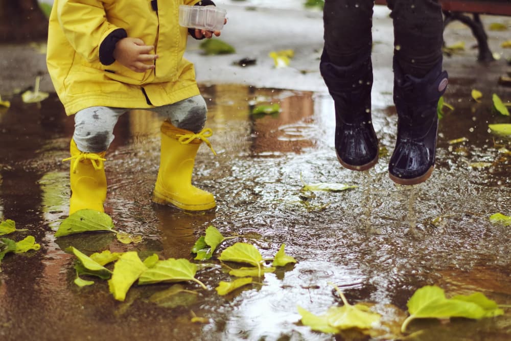Rainy Days A Rainy Days