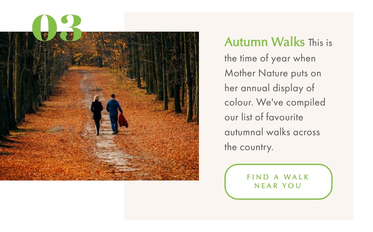Vitamin Sea 3 Autumn Walks